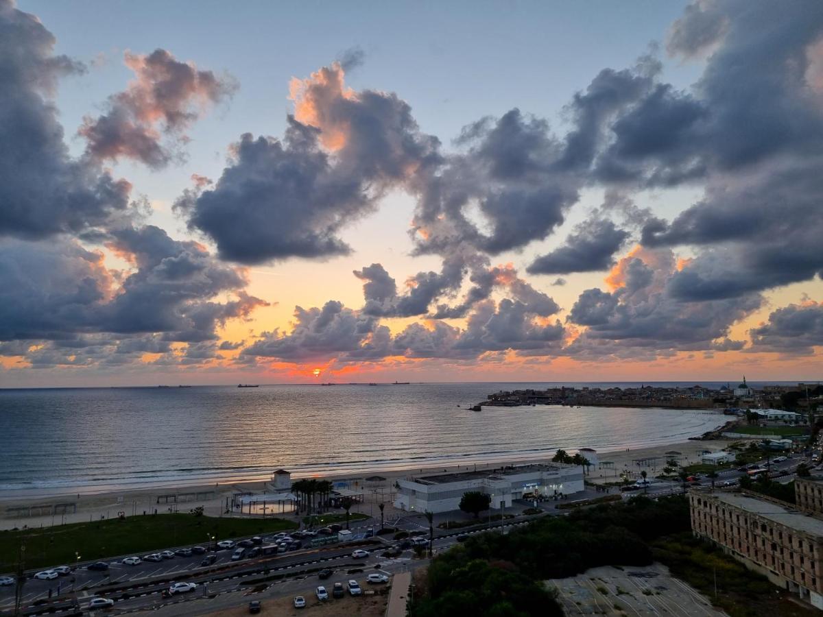 Apartment Beachfront Gallery *